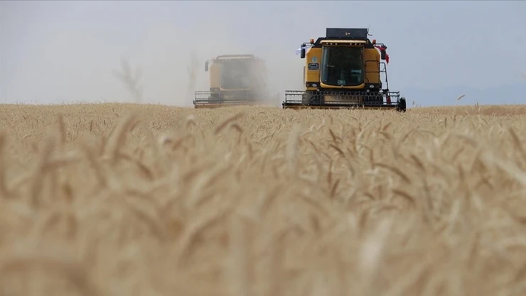Yağışların Üretime Can Suyu Olması Bekleniyor