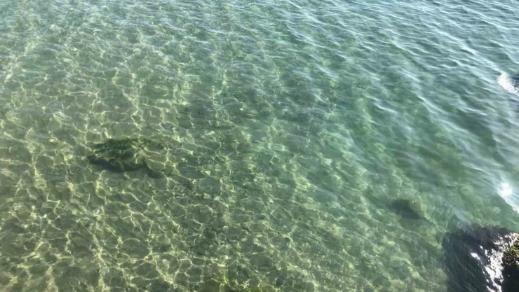 Yakıt Dökülen Deniz Temizlendi