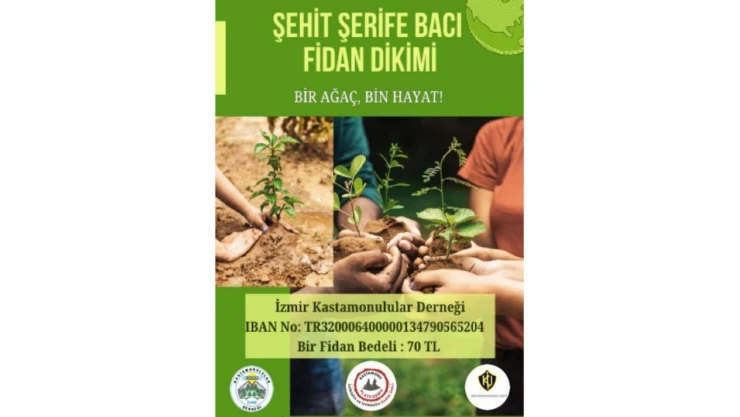 Yanan Ormanları Yeniden Yeşertecekler