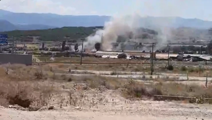 Yangında ekili arazi zarar gördü