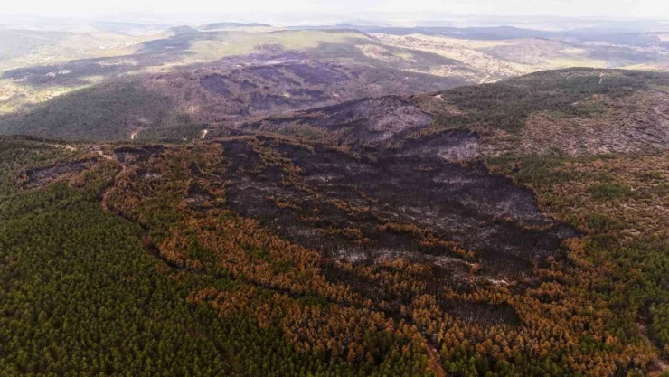 Yangının Etkili Olduğu Alanlar Dron İle Görüntülendi