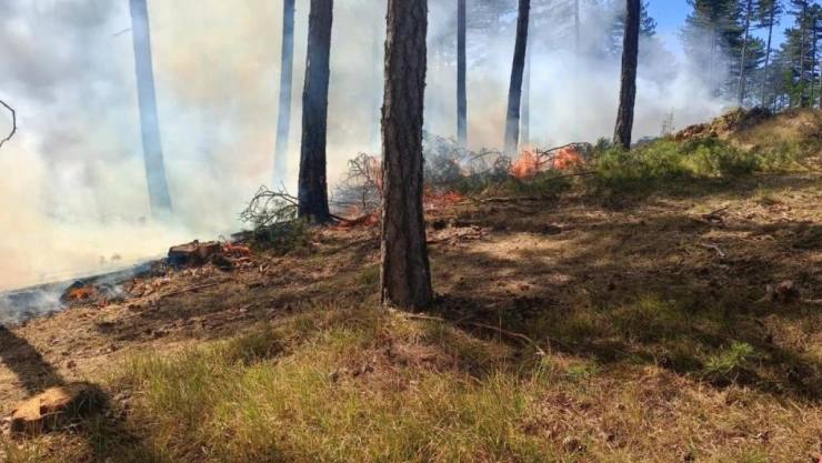 Yangınlara Müdahale Devam Ediyor