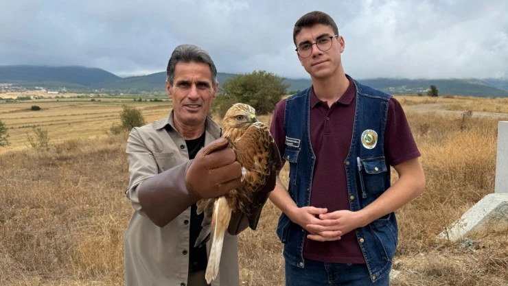 Yaralı Şahin Tedavi Altına Alındı