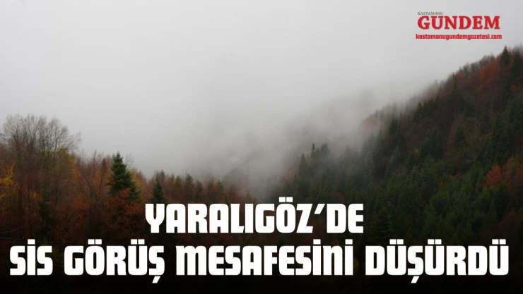 Yaralıgöz'de Sis Görüş Mesafesini Düşürdü