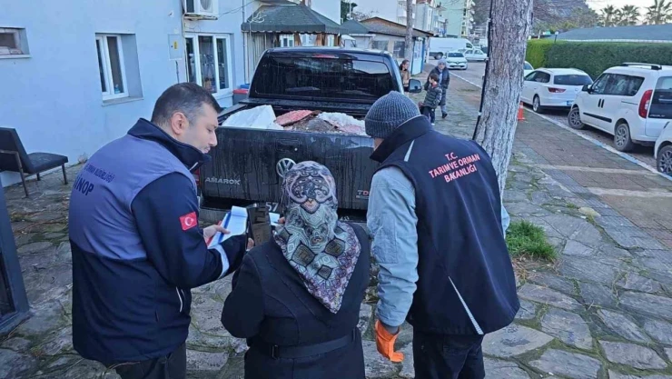 Yasa Dışı Avlanan Kalkanlar, Ücretsiz Dağıtıldı