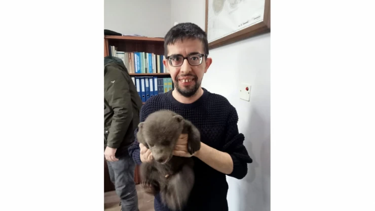Yavru Ayı Koruma Altına Alındı