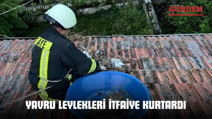 Yavru Leylekleri İtfaiye Kurtardı