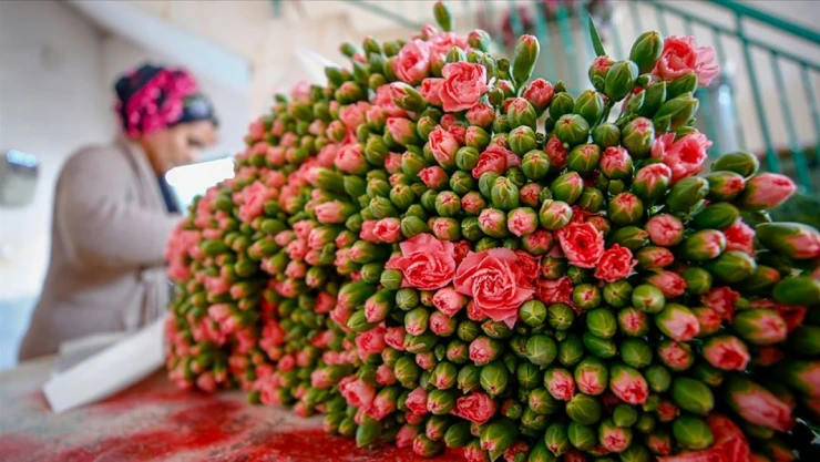 Yaz Sıcağında Doğru Bitki Bakımı Önem Taşıyor