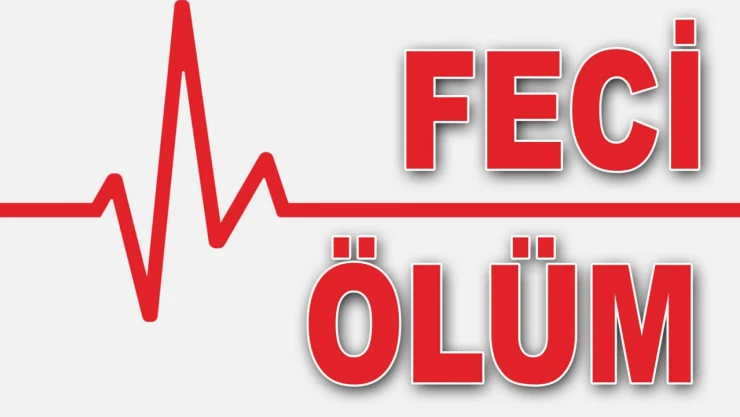 Yem Karma Makinesine Düşerek Can Verdi!