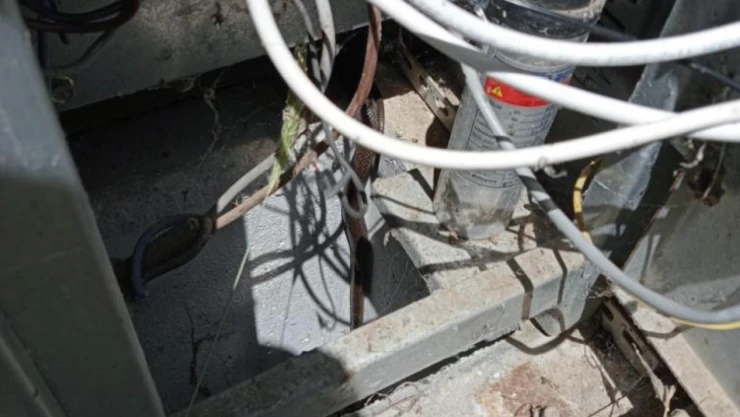 Yılanlar 6 köyü elektriksiz bıraktı