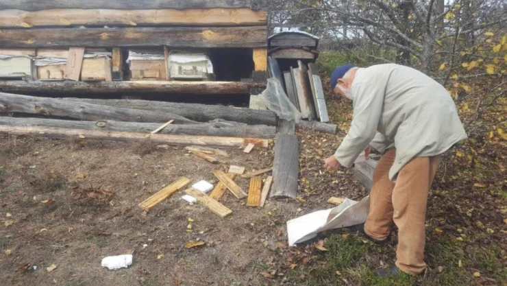 Kastamonu'nun O İlçesinde Yine Ayı Saldırısı!