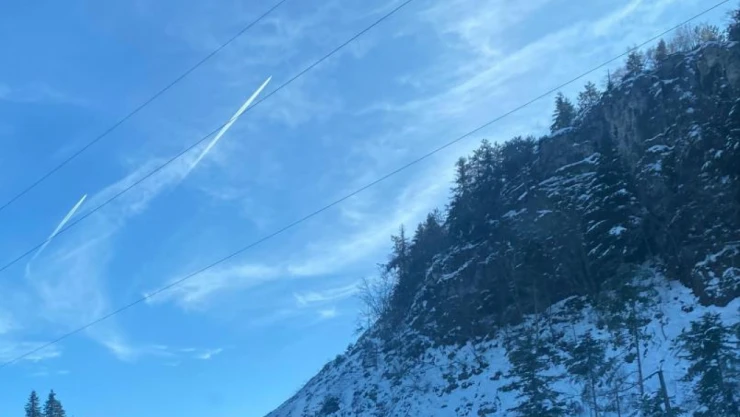 Yol Kenarına İnen Karacalar Kamerada