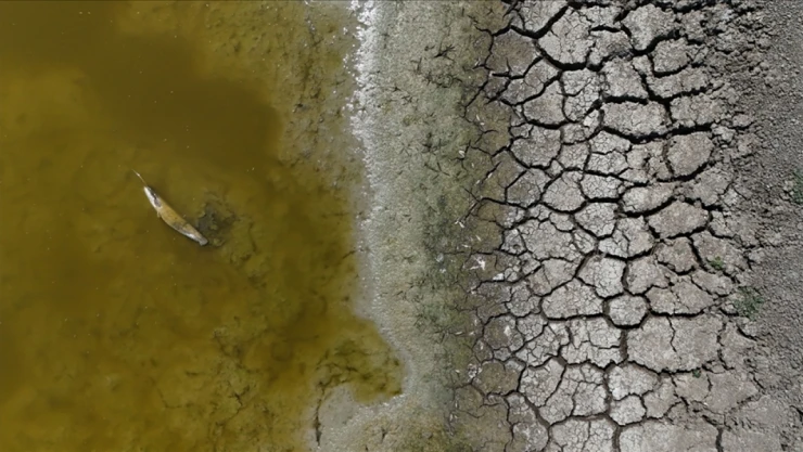 Yüksek Sıcaklıklar Tarım Ve Çevreyi Olumsuz Etkiliyor