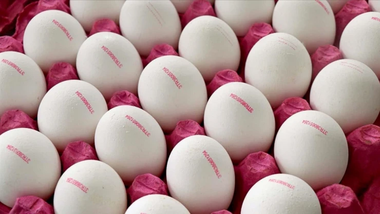 Son Tüketim Tarihinde Yeni Düzenleme