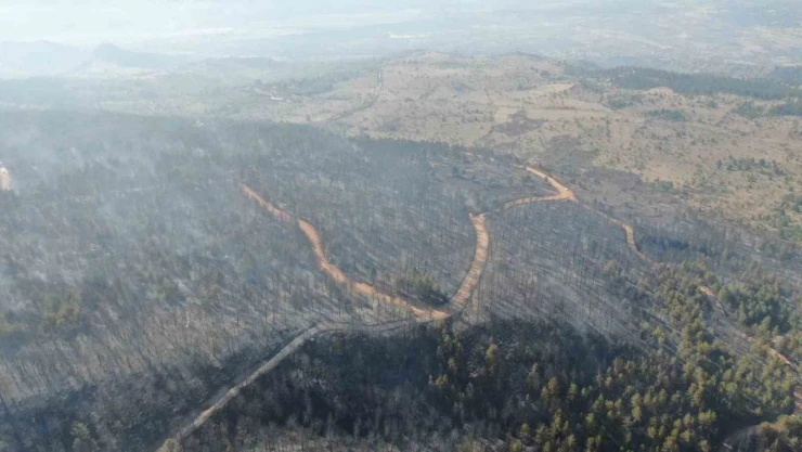 Ormanlık Alandaki Tahribat Havadan Görüntülendi