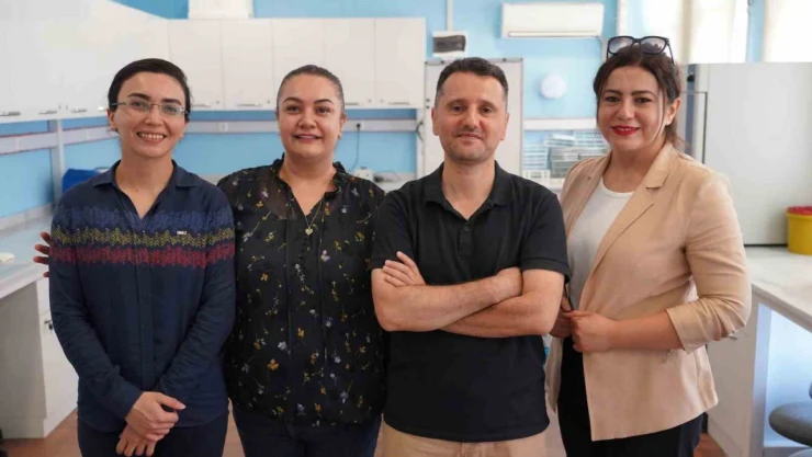 TÜBİTAK Destekli Proje: Zeytin Yaprağından Diyabete Umut