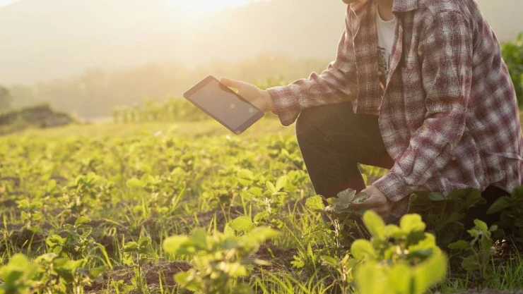 Ziraat Odası'ndan ÇKS Bilgilendirmesi