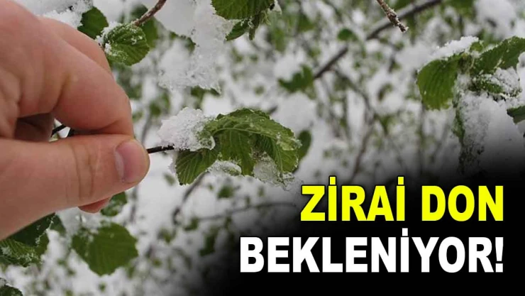 Zirai Don Bekleniyor!