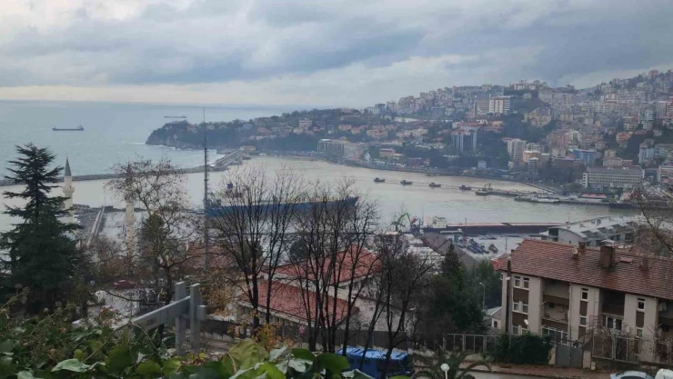 Zonguldak Limanı Sarı Renge Boyandı
