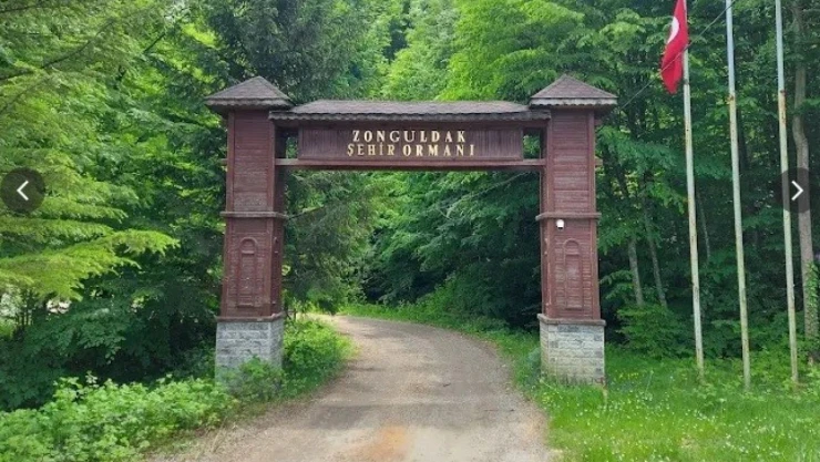 Zonguldak Ormanlarda Ateş Yakılması Yasaklandı
