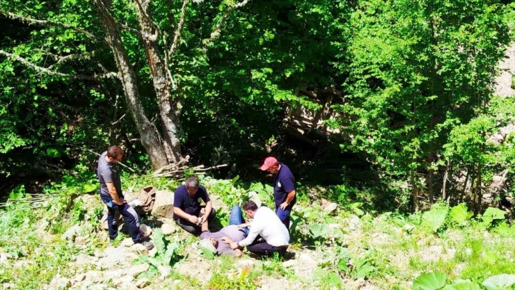 80 Metreden Şarampole Devrildi