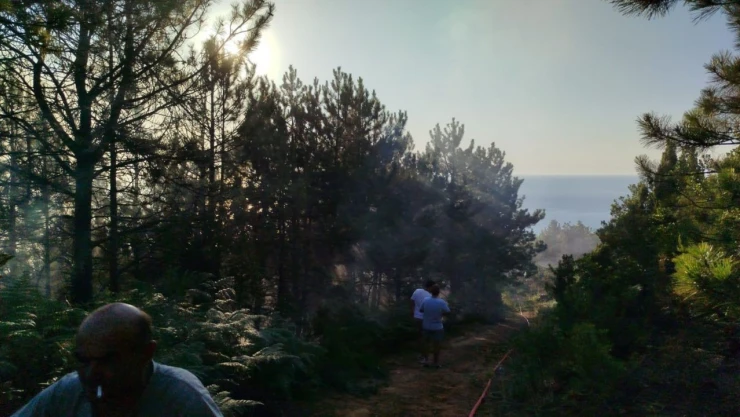 Yangında 7 Dönümlük Karaçam Ormanı Zarar Gördü