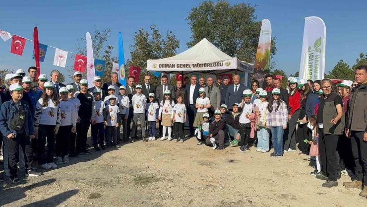 Zonguldak'ta Fidan Diktiler