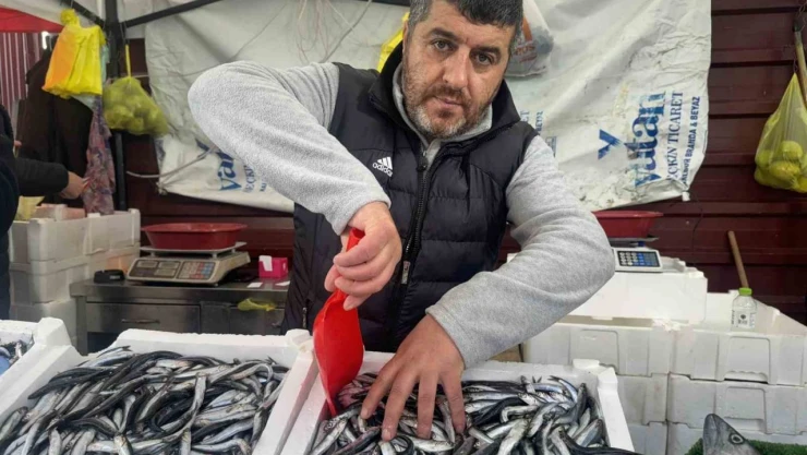 Vatandaşlardan Hamsiye Yoğun İlgi