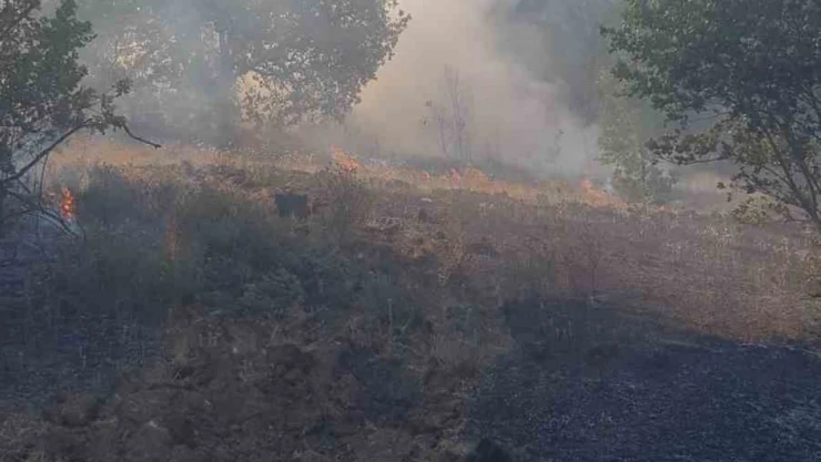 Zonguldak'ta Ormanlık Alanda Yangın!