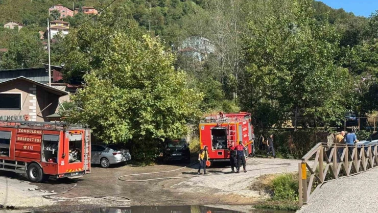 Zonguldak'ta Ormanlık Alanda Yangın!
