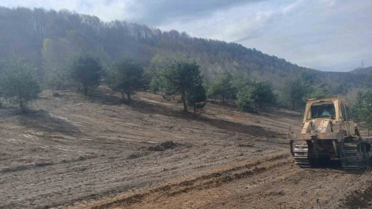 Sokak Hayvanları İçin Çalışmalar Hız Kazandı