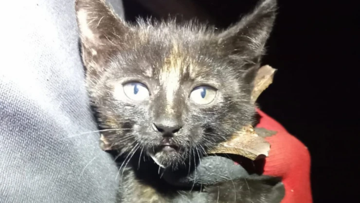 Zonguldak'ta Yürekleri Isıtan Kurtarma