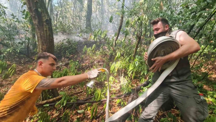 Zonguldak'taki Orman Yangını Kontrol Altına Alındı