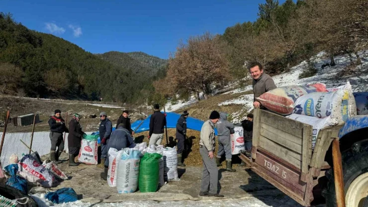 Zorlu Kış Şartlarında İmece Usulüyle Hayvanlarını Besliyorlar