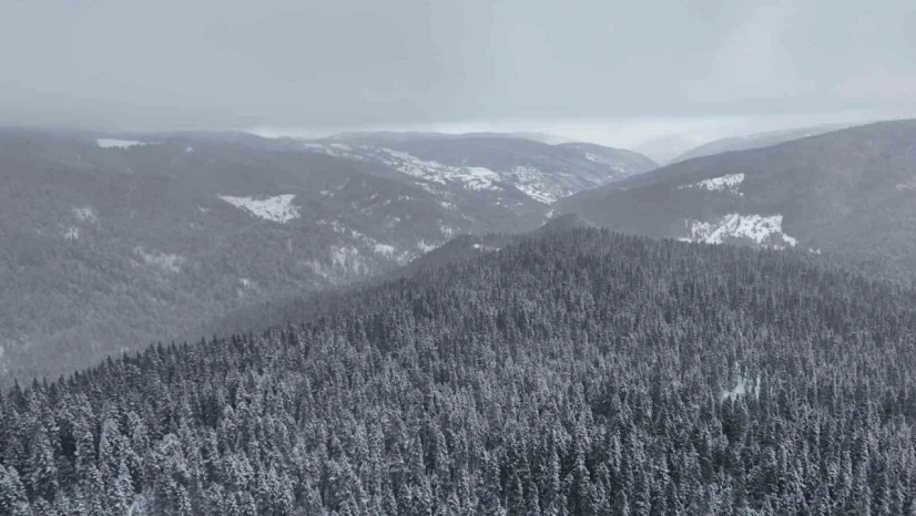 Ilgaz Dağı Havadan Görüntülendi