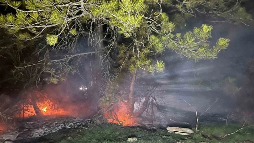 Bolu'da Ormanlık Alanda Yangın Çıktı