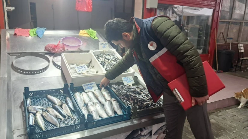 Çatalzeytin'de Denetimler Devam Etti