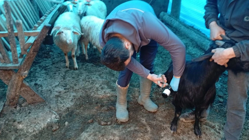 Çatalzeytin Tarım, Sahadaki Çalışmalarını Sürdürüyor