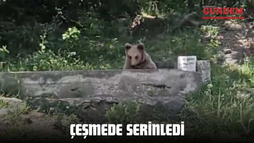 Çeşmede Serinledi