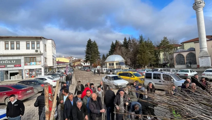 Daday'da Fidan Dağıtımı Yapıldı