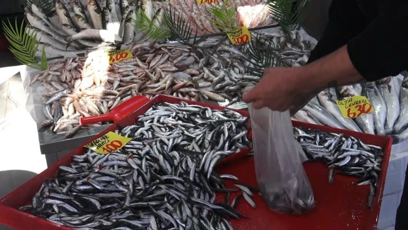 Çankırı'da 100 Liraya Satılan Hamsi Yüzleri Güldürdü