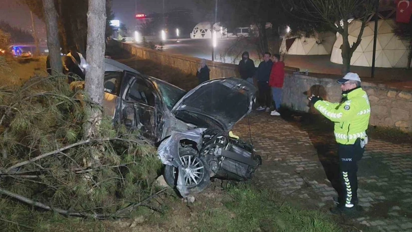 Kontrolden Çıkan Otomobil, Direk Ve Ağaçlara Çarptı: 1 Yaralı