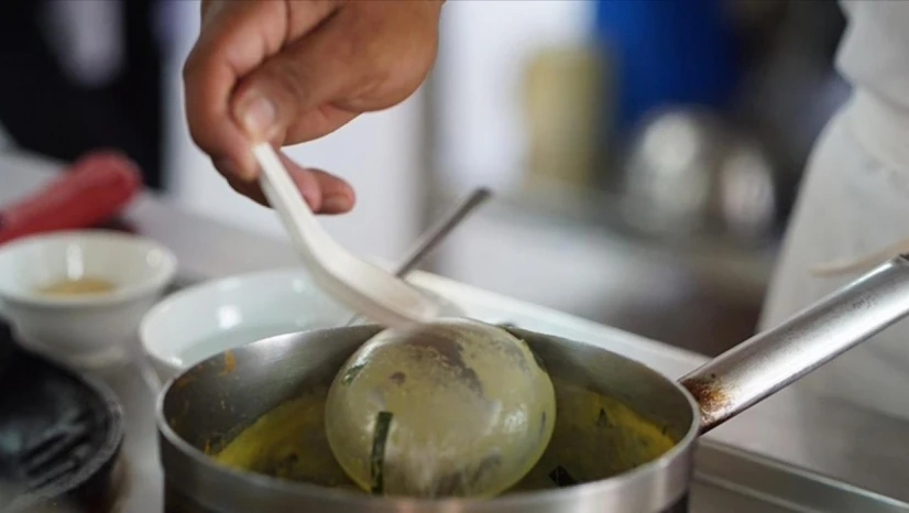 Kontrolsüz Toplanan Bitkiler Zehirlenme Riskini Artırıyor