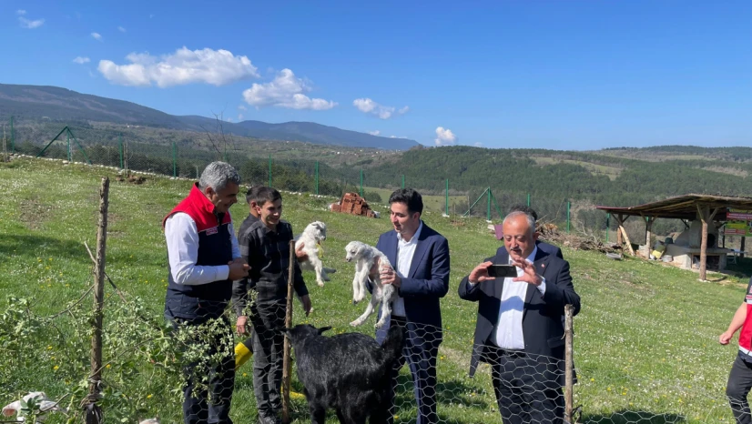 Meralar Sevgiyle Doldu