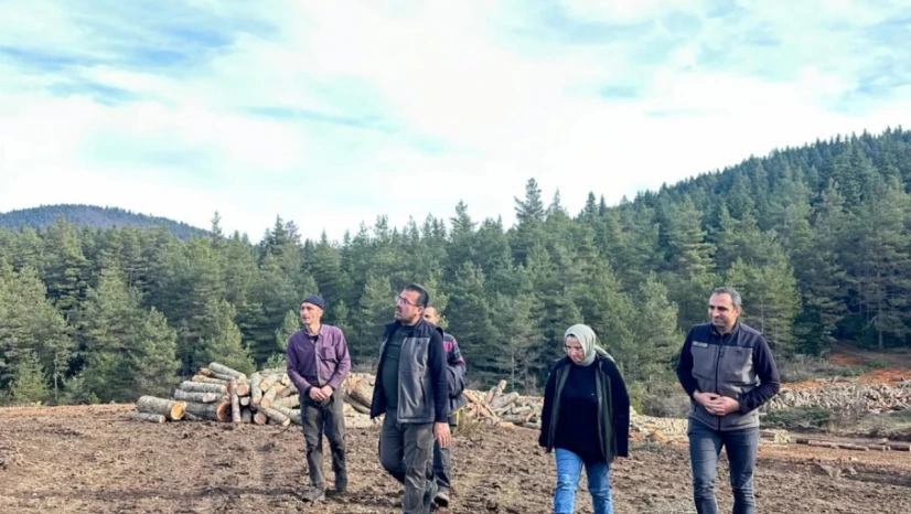 Orman Bakım Çalışmaları Denetlendi