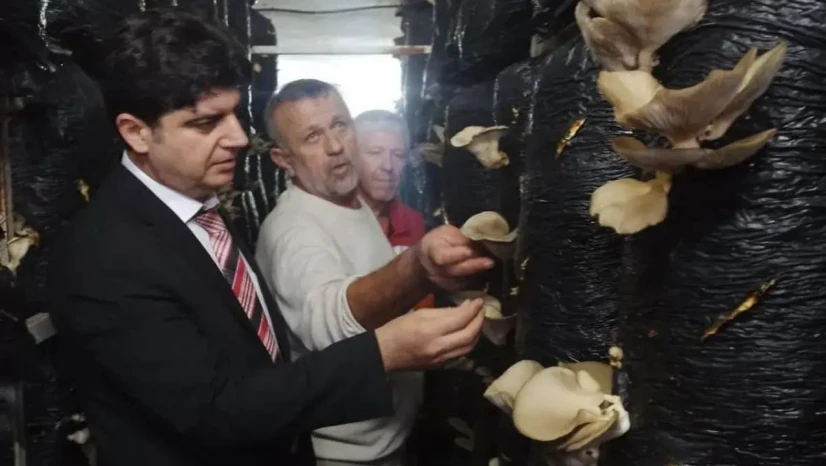 Sinop'ta Mantar Yetiştiriciliği Eğitimi