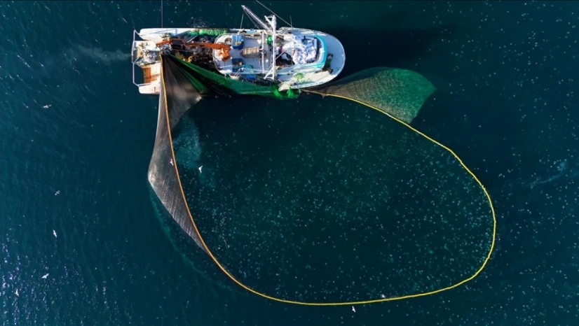 Su Ürünleri Avcılığı Sözleşmeli Üretim Kapsamına Alındı