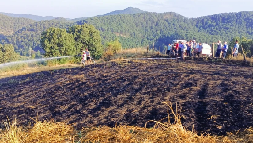 Tarlada çıkan yangın köylüler tarafından söndürüldü