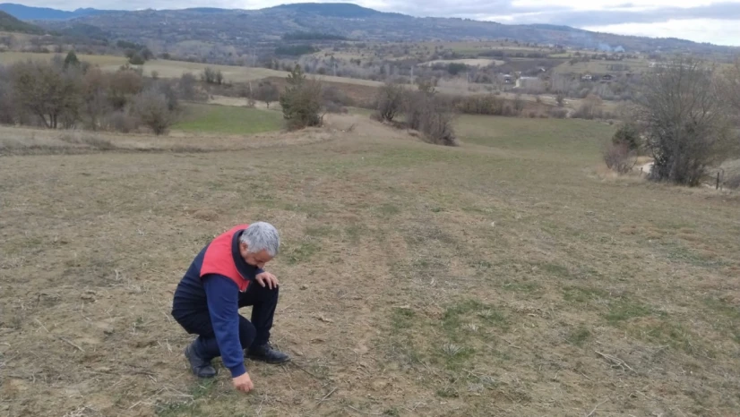 Yem Bitkileri Arazi Kontrolleri Devam Ediyor