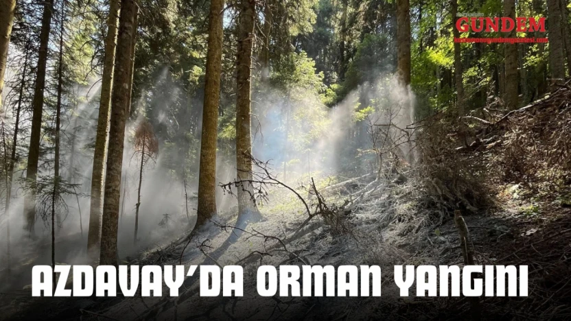 Azdavay'da Orman Yangını